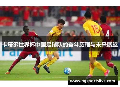 卡塔尔世界杯中国足球队的奋斗历程与未来展望