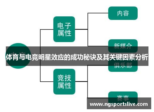 体育与电竞明星效应的成功秘诀及其关键因素分析