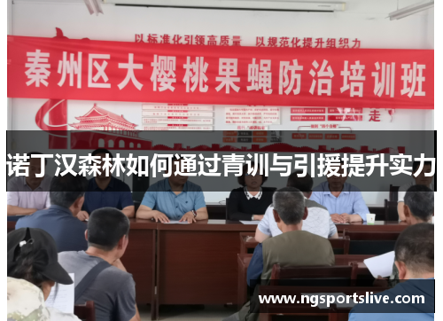 诺丁汉森林如何通过青训与引援提升实力